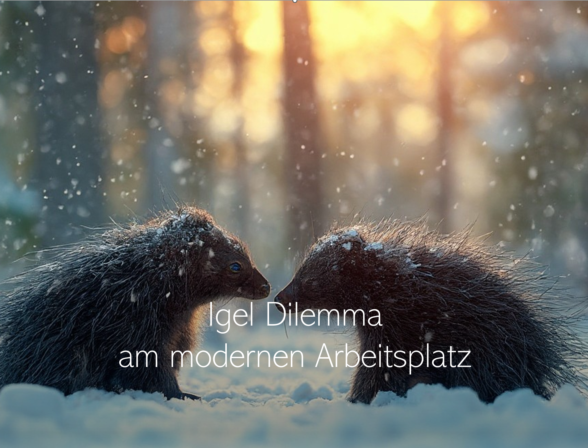 Igel Dilemma